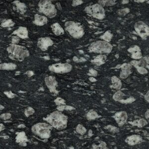 Coin Black Granite Exporter From India